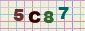 This is a captcha-picture. It is used to prevent mass-access by robots. (see: www.captcha.net)