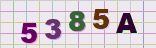 This is a captcha-picture. It is used to prevent mass-access by robots. (see: www.captcha.net)